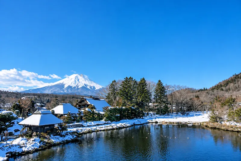 8D CRAZY SALE YEAR END GOLDEN ROUTE JAPAN + SHIRAKAWAGO by VietJet Air