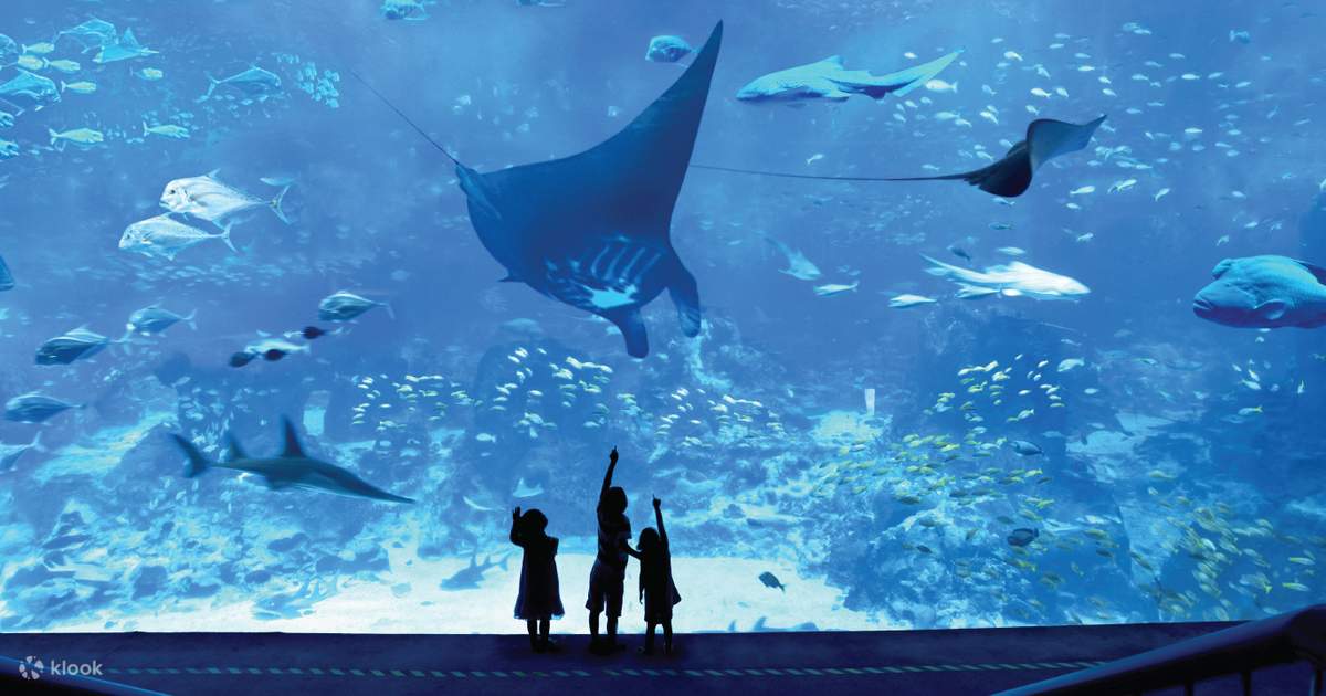 Tiket Sea Aquarium Singapore