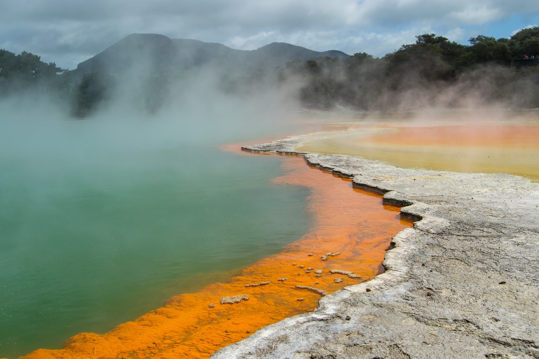 Rotorua